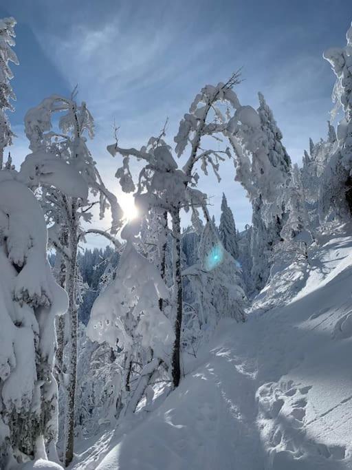 Stube9 Am Feldberg, Direkt An Der Skipiste, Ski In-Ski Out Feldberg  Exterior foto